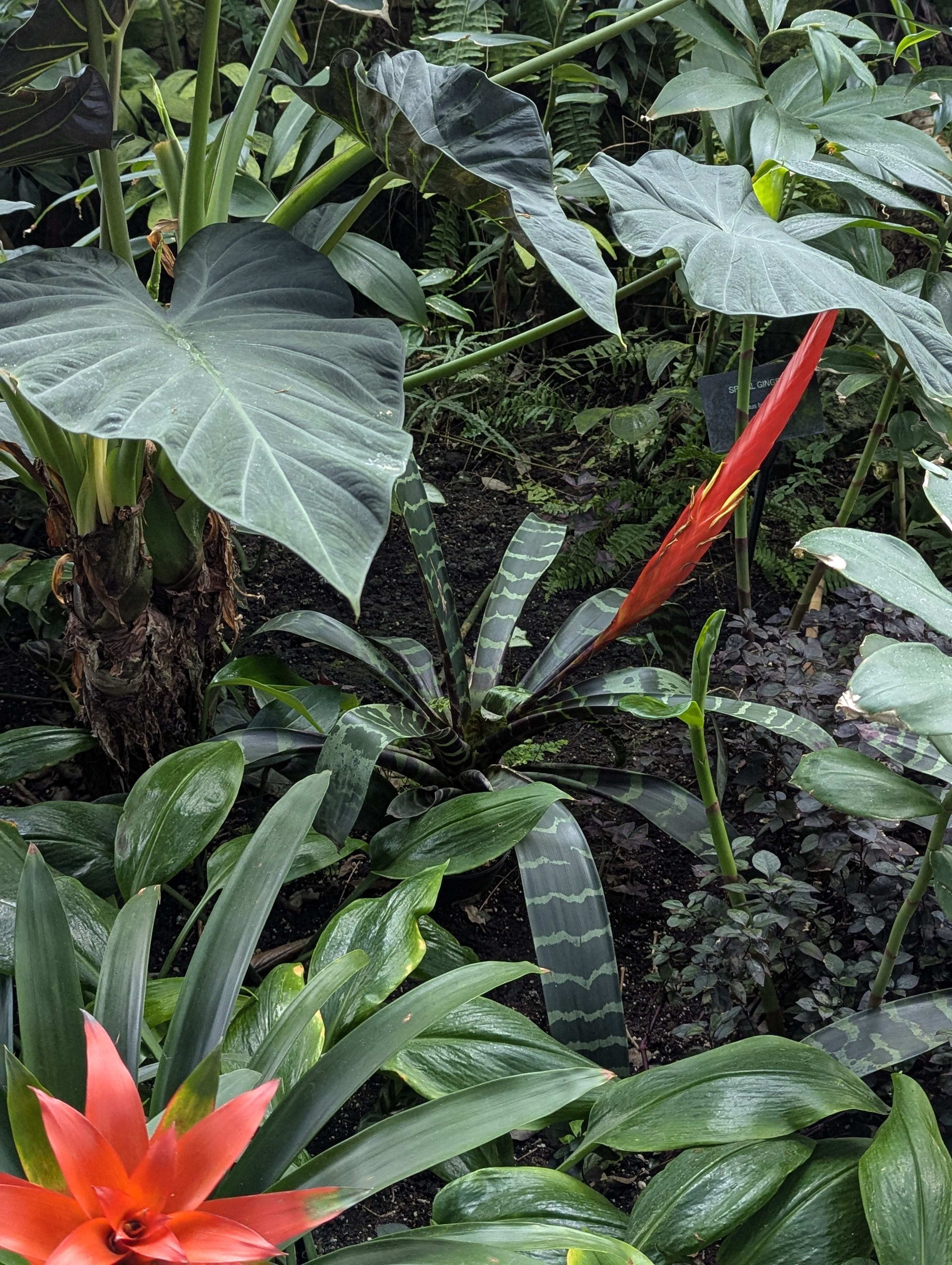 Birthday Trip to Canada, Edmonton, Pyramids, Muttart Observatory